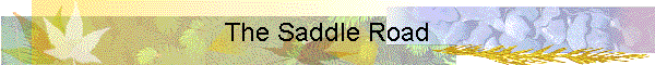 The Saddle Road