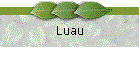 Luau