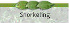 Snorkeling