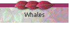 Whales