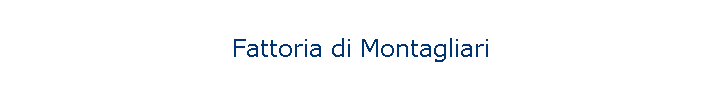 Fattoria di Montagliari
