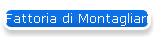 Fattoria di Montagliari