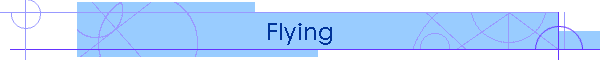 Flying