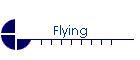 Flying