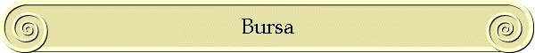 Bursa