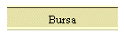 Bursa